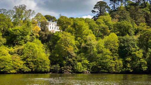 The River Dart is in the foreground with a tree-lined riverbank behind and Greenway House seen through the trees high on the hill in the background.